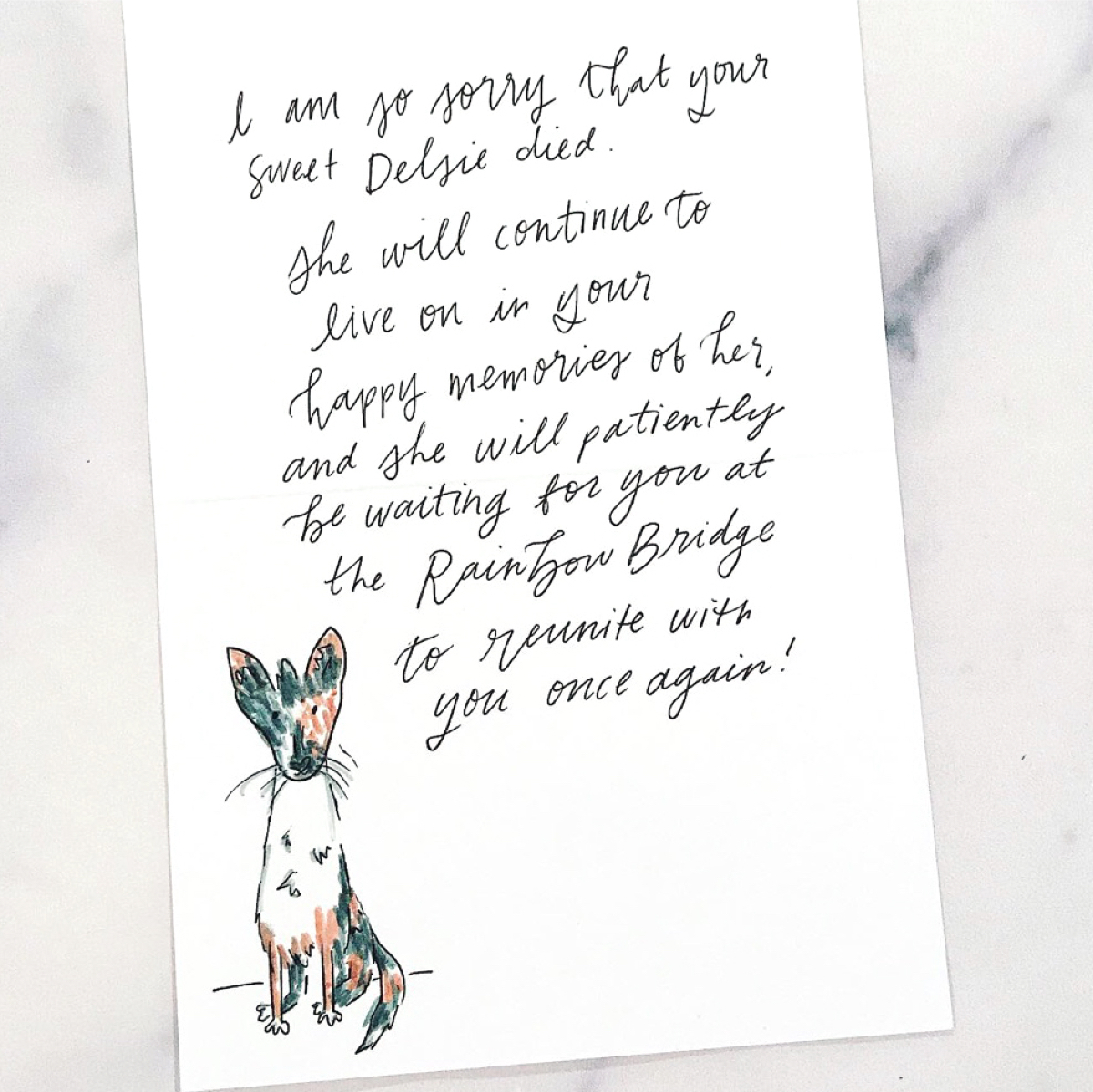 What To Write In A Pet Sympathy Card Dog