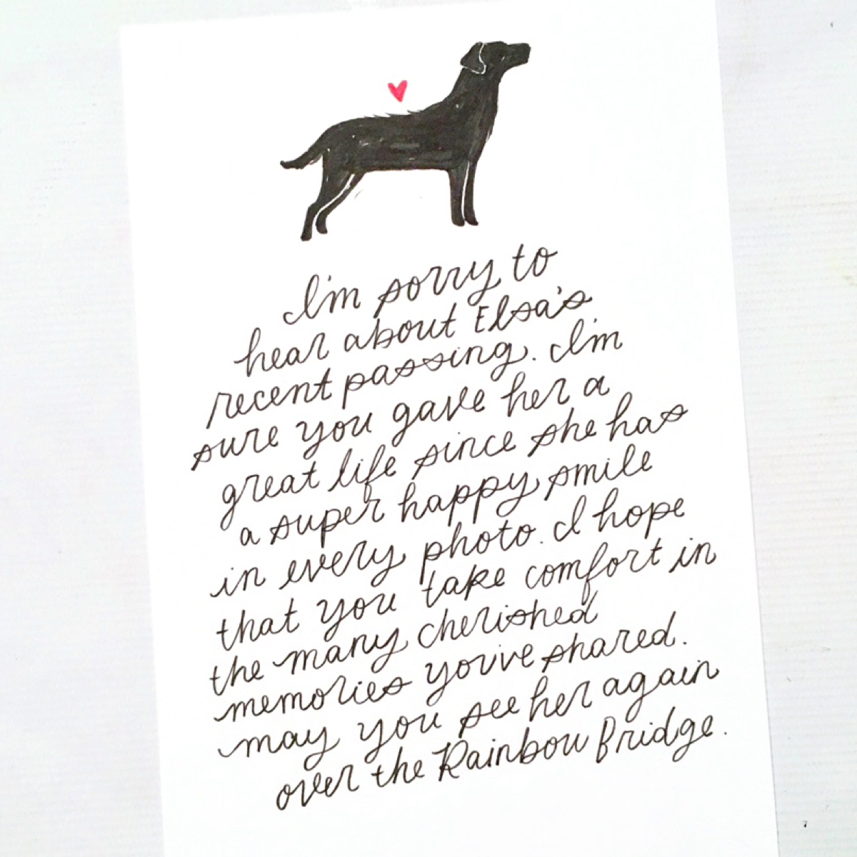 what-to-write-in-sympathy-card-for-pet-petswall
